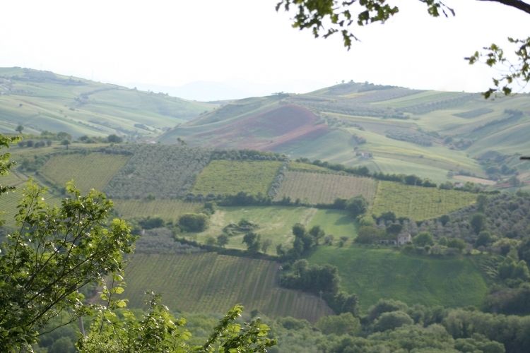 Our Tiny Italian (Dream)&nbsp;Home