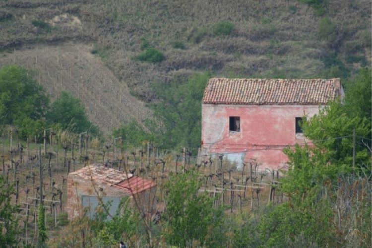 Old and Abandoned: On Homes&nbsp;Forgotten