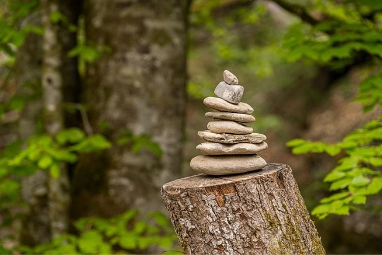 2020: an Ebenezer Year to&nbsp;Remember