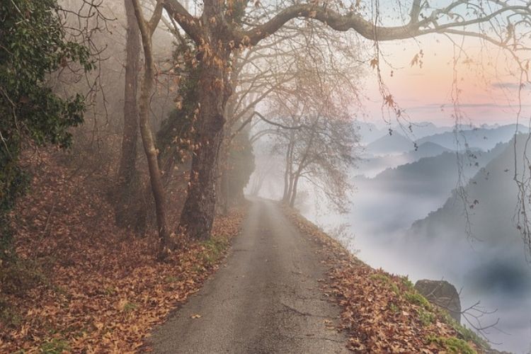 The Journey of Growth Takes Change