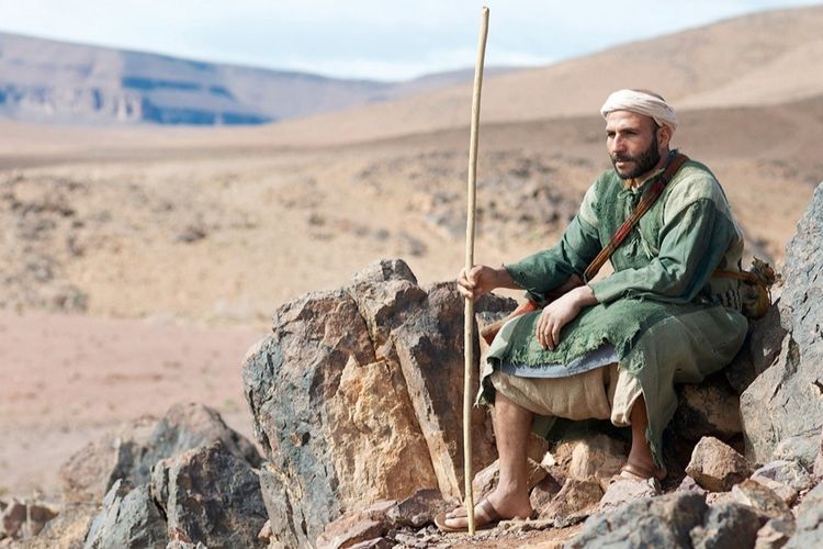 A Shepherd’s Life in Bible Times