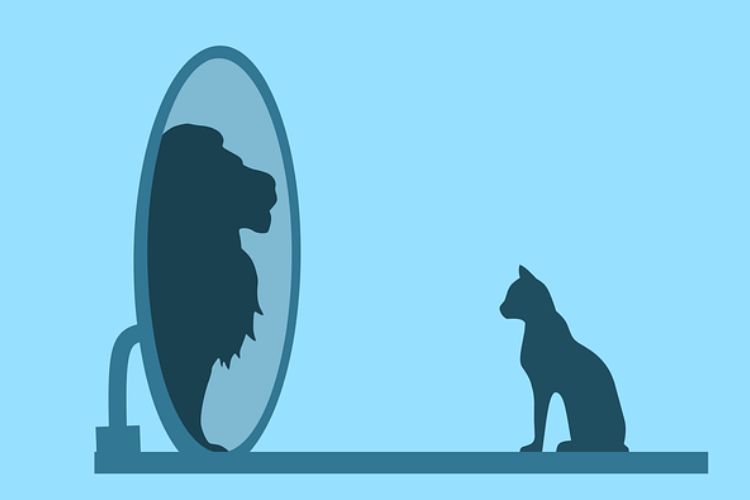 Things Are Not Always What They&nbsp;Seem