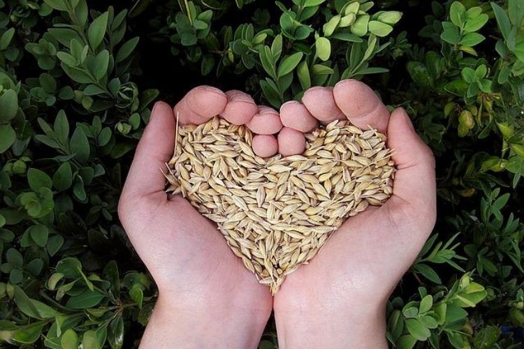 Little Becomes Much in God’s&nbsp;Hands