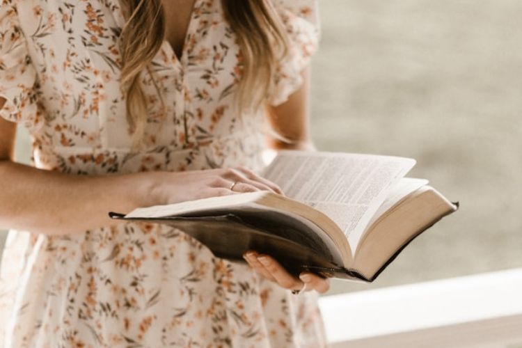 Summer Heat and&nbsp;Visitors