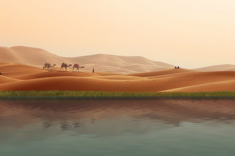 Highways in Bible&nbsp;Times